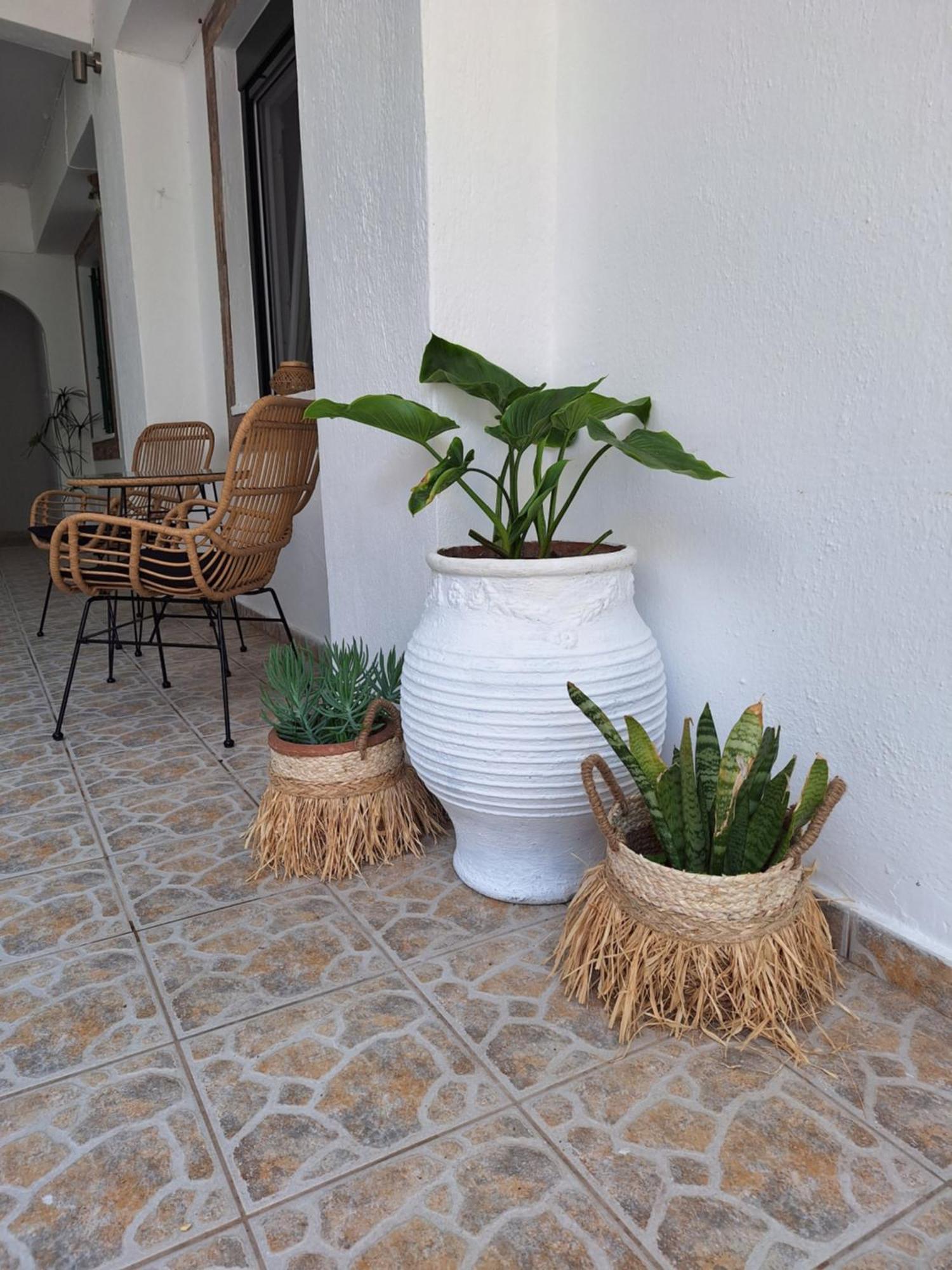 Vithos Apartment Agnontas ภายนอก รูปภาพ